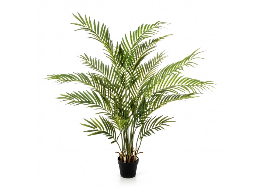 130 CM FOREST ARECA PALM W/P H130