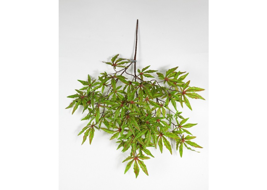 JAPANESE MAPLE SPRAY H63