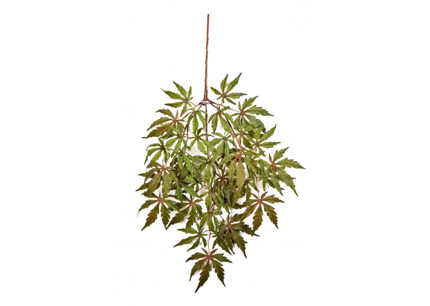 FR JAPANESE MAPLE SPRAY X 36 H