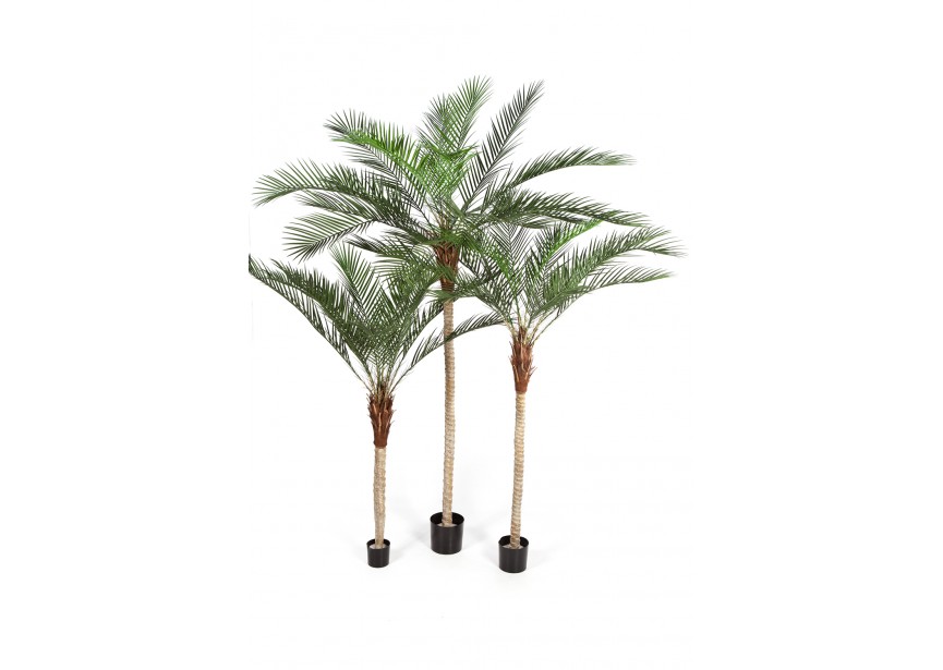 6 PHOENIX PALM PLASTIC LEAF H180