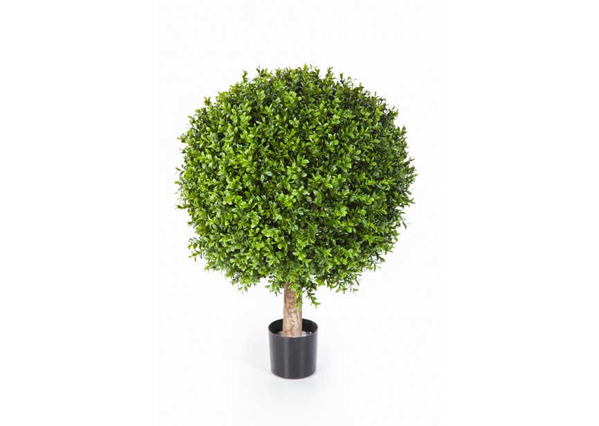 60 CM BOXWOOD BALL H60