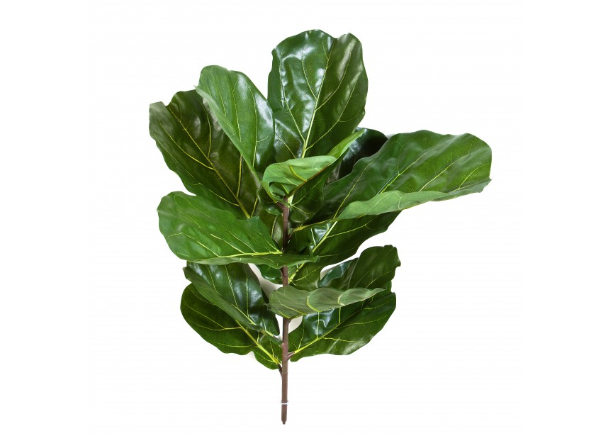 FIDDLE LEAF SPRAY X 11 LVS H77