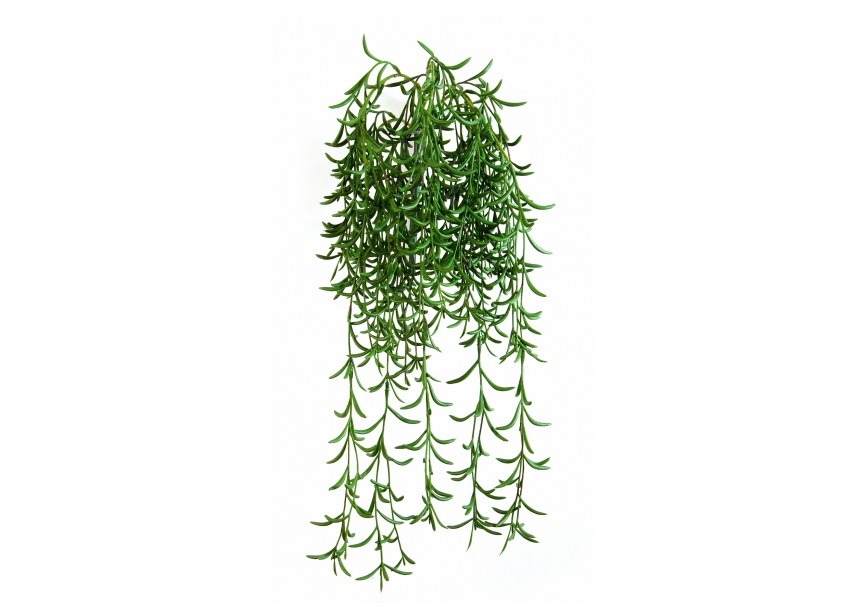 SUCCULENT HANGING BUSH H45