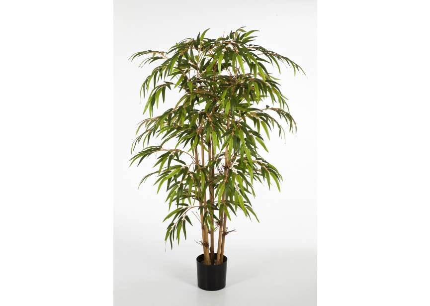 3 BAMBOO TREE H90