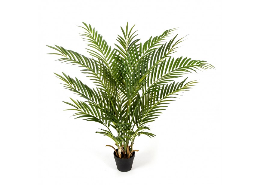 100 CM FOREST ARECA PALM W/P H100