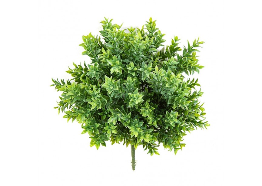 TEA LEAF BUSH UV