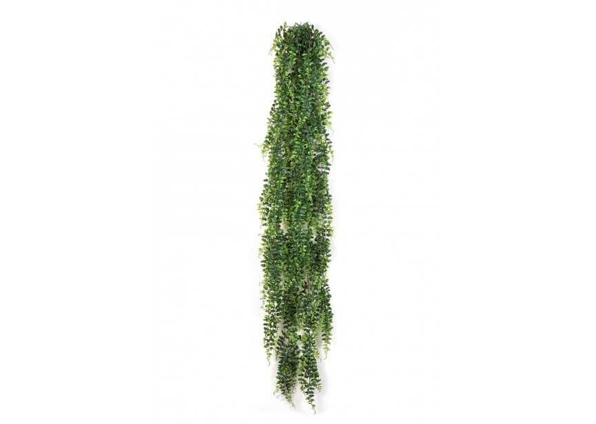 BOSTON FERN HANGING BUSH 140CM