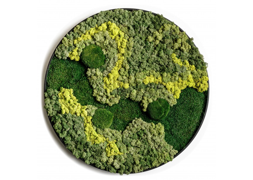 MOSS CIRCLE Ø80CM LANDSCHAPE DESIGN WITH BLACK FRAME