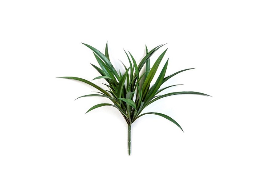 LIRIOPE GRASS BUNCH UV