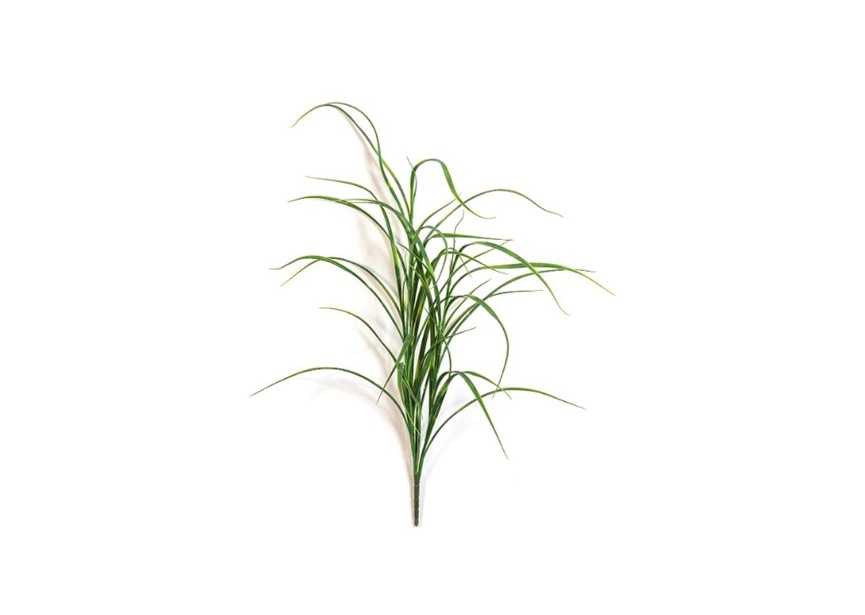 NORTHWIND GRASS BUNCH UV