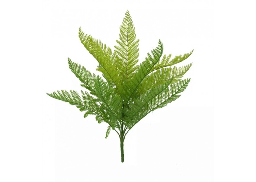 LADY FERN VARIED GREEN 32CM