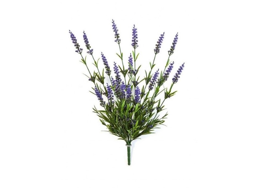 LAVENDER BUSH X19 PURPLE H