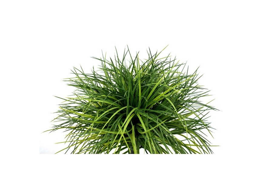 WHEATGRASS BALL 50CM UV+FR