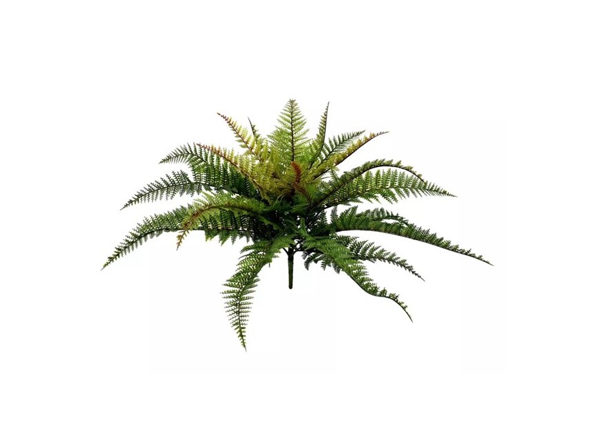 BOSTON FERN 48CM UV+FR