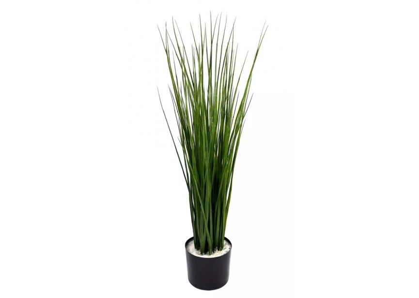 CANE GRASS (INCL POT) 90CM UV+FR