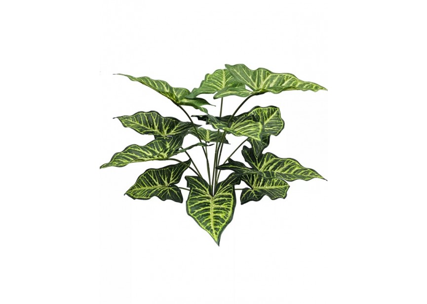 SYNGONIUM PLANT 40CM UV+FR