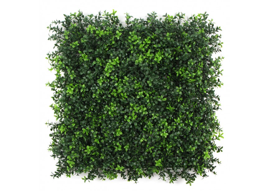 SUMMER BUXUS 50X50CM UV