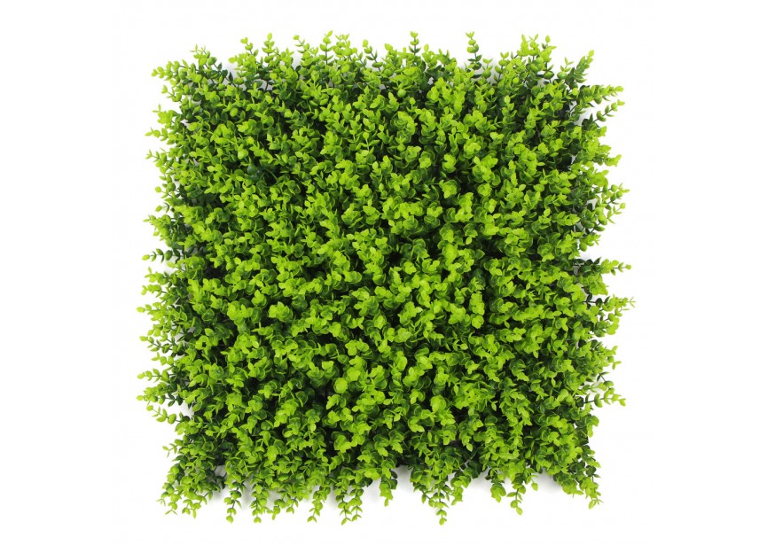 SPRING BUXUS 50X50CM UV