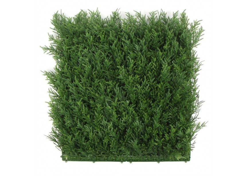 TAXUS 50X50CM UV