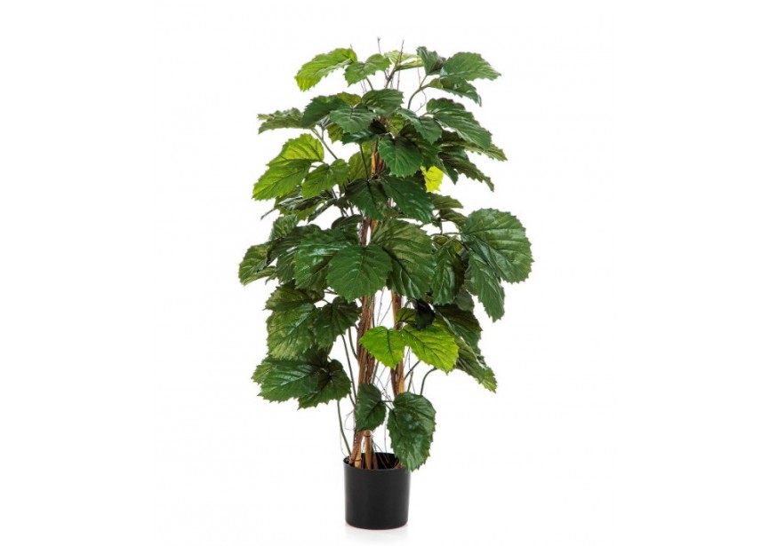 4 TETRASTIGMA BUSH TREE 120CM